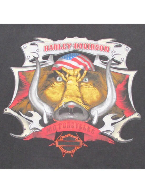Harley-Davidson Other - Vintage Harley Davidson Shirt Men XL Black Pig Rice Lake WI Motorcycle Biker Y2K